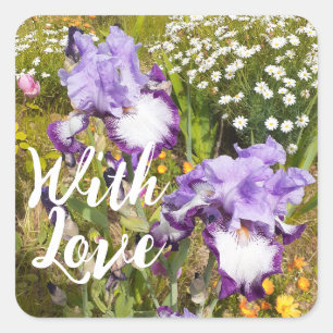 Iris Irises Purple Flower Floral Lavender Love Square Sticker