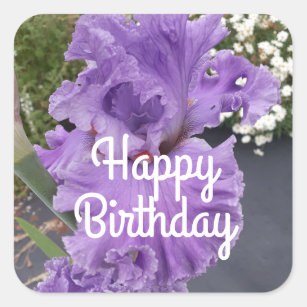 Iris Irises Purple Flower Floral Lavender Square Sticker
