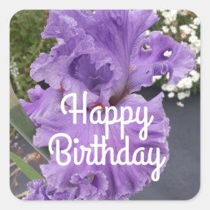 Iris Irises Purple Flower Floral Lavender Square Sticker