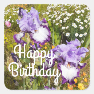 Iris Irises Purple Flower Floral Lavender Square Sticker