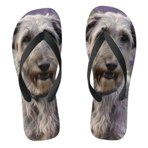 Iris Irish Wolfhound, Flip Flops