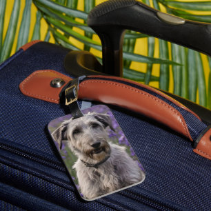 Iris Irish Wolfhound, Luggage Tag