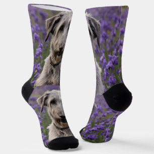 Iris Irish Wolfhound, Socks