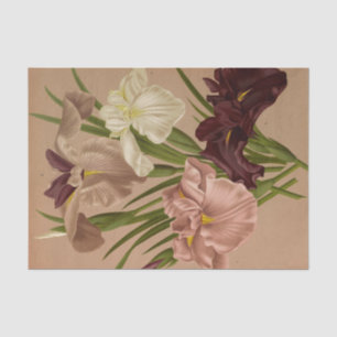 Iris Kaempferi. Var by Arentina Hendrica Arendsen Tissue Paper