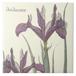 Iris Lace Tile