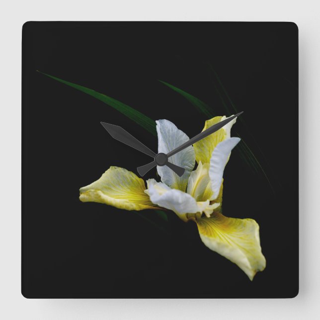 Iris light square wall clock (Front)