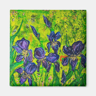 Iris Magnet