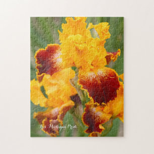 Iris ‘Michigan Pride’ [Jigsaw puzzle: 252P]  Jigsaw Puzzle