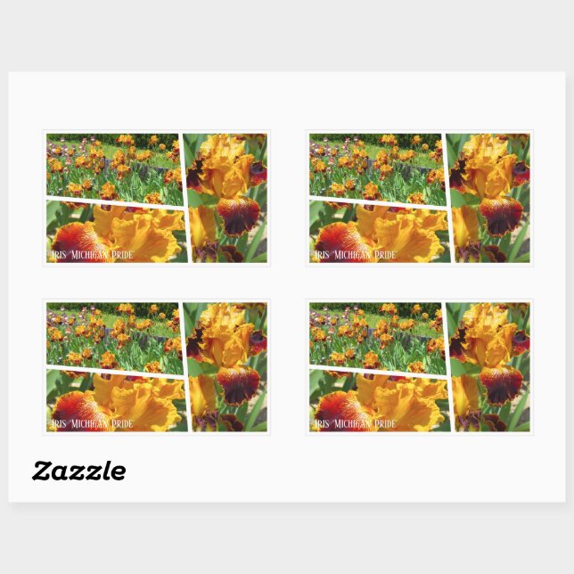 Iris ‘Michigan Pride’ [Rectangle Seal] 長方形シール Rectangular Sticker (Sheet)