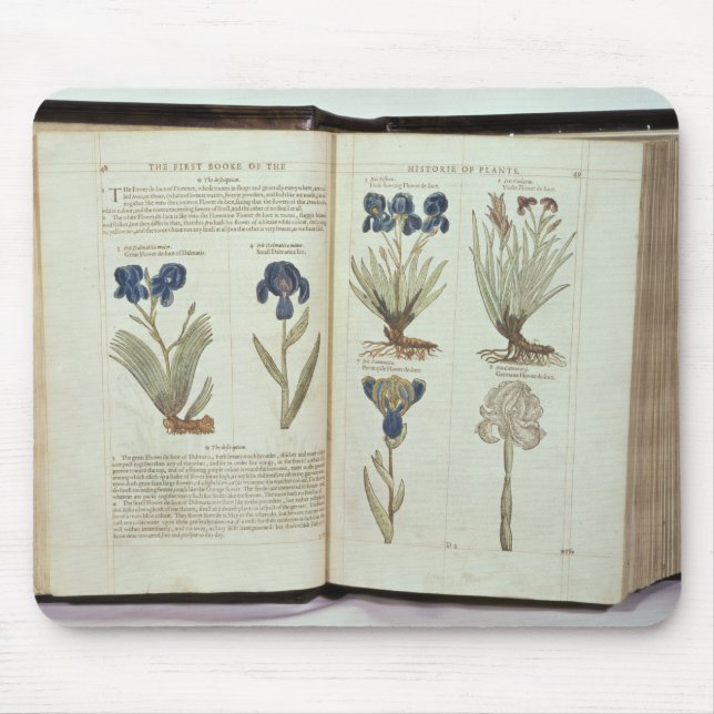 Iris Mouse Mat (Front)