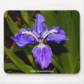 Iris Mouse Mat