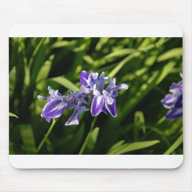 Iris Mousepad (Front)