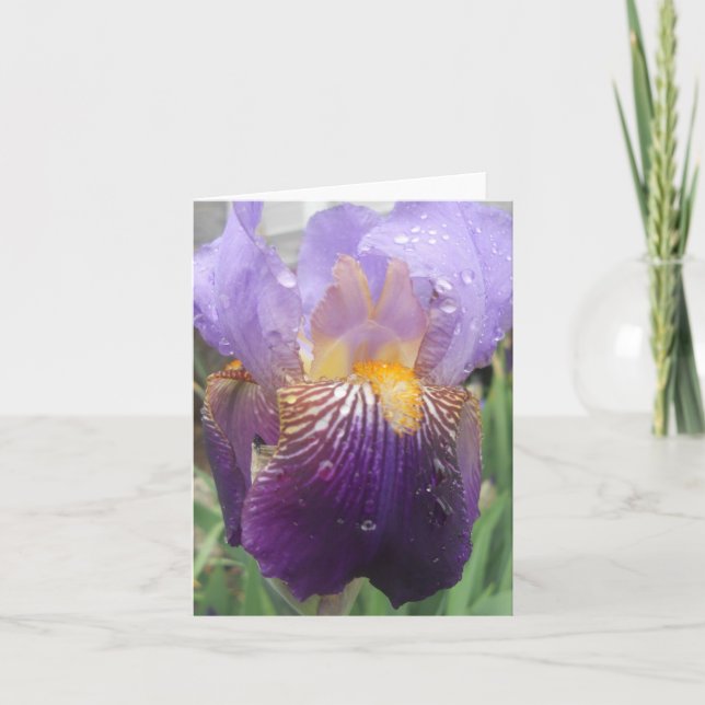 Iris note card (Front)