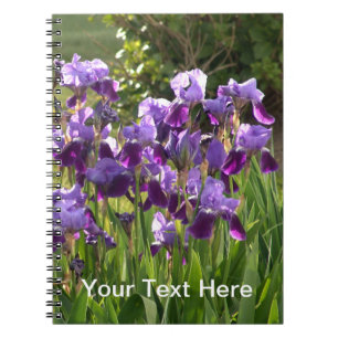 Iris notebook