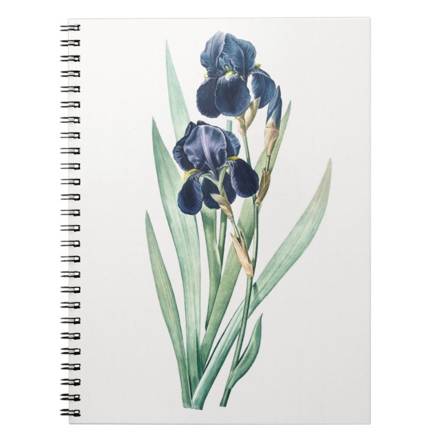 Iris Notebook (Front)