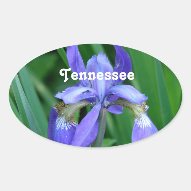 Iris Oval Sticker (Front)