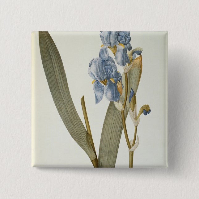 Iris Pallida, from `Les Liliacees', 1812 15 Cm Square Badge (Front)
