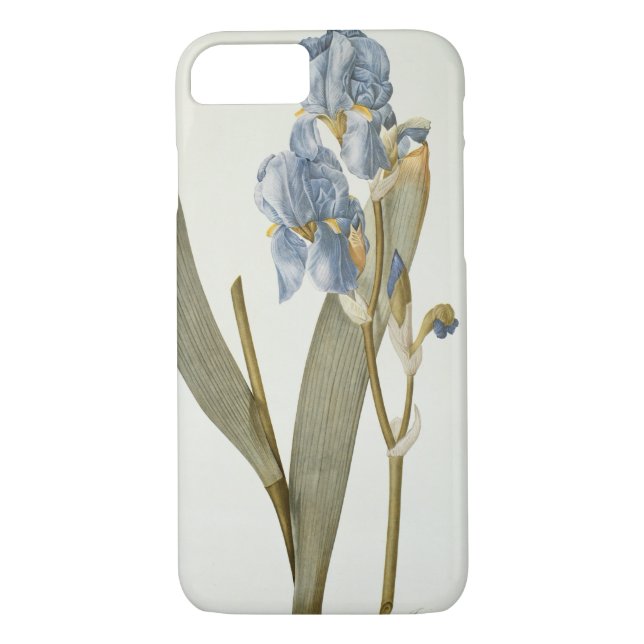 Iris Pallida, from `Les Liliacees', 1812 Case-Mate iPhone Case (Back)