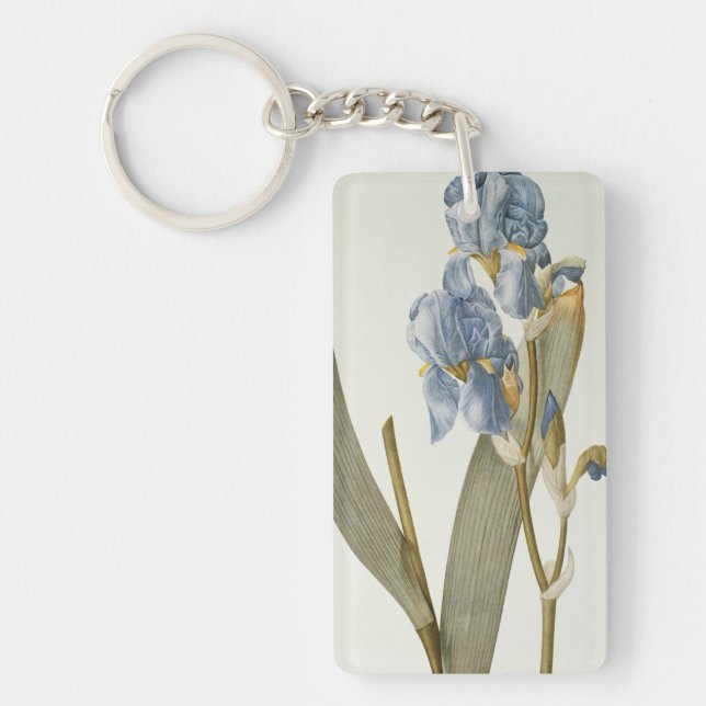 Iris Pallida, from `Les Liliacees', 1812 Key Ring (Front)