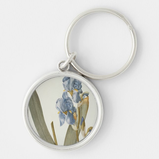 Iris Pallida, from `Les Liliacees', 1812 Key Ring (Front)