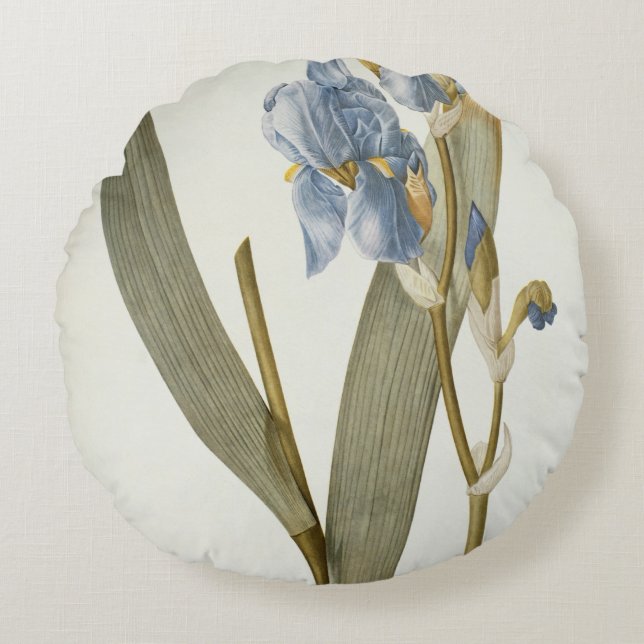 Iris Pallida, from `Les Liliacees', 1812 Round Cushion (Front)