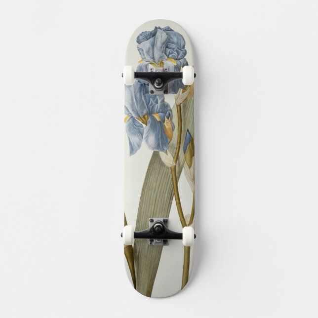 Iris Pallida, from `Les Liliacees', 1812 Skateboard (Front)