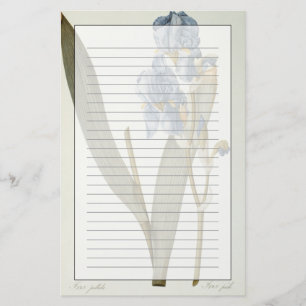 Iris Pallida, from `Les Liliacees', 1812 Stationery