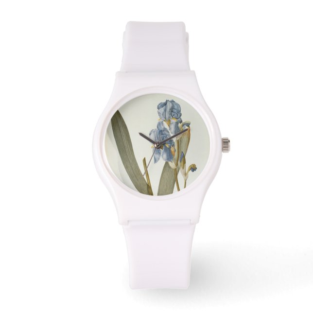 Iris Pallida, from `Les Liliacees', 1812 Watch (Front)