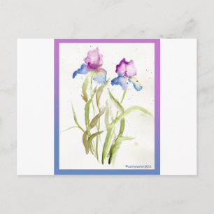 Iris Postcard