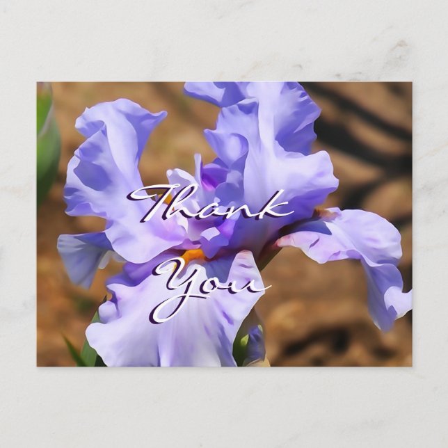 Iris Postcard- customise for any occasion Postcard (Front)