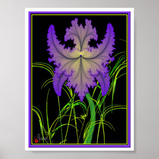 Iris Poster
