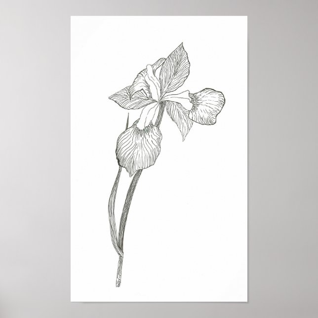 Iris Print (Front)