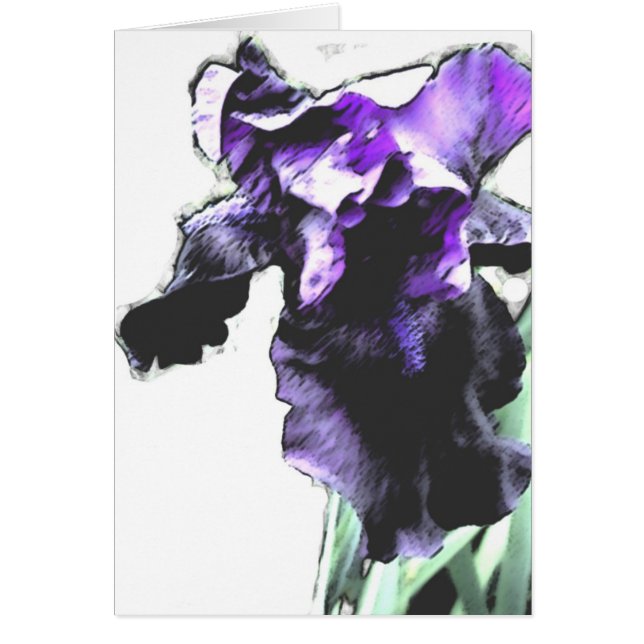 Iris, purple (Front)