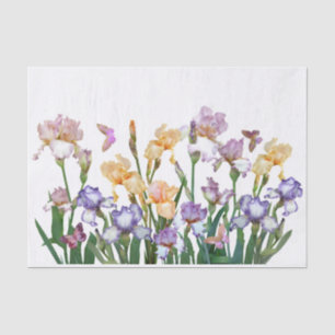 Iris Purple Butterfly Pink Floral Tissue Paper
