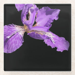 Iris Purple Glass Coaster