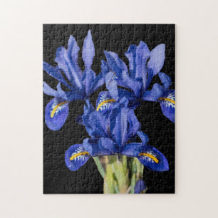 Iris Puzzle