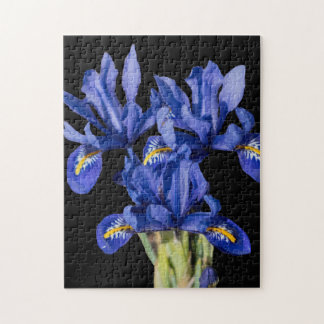 Iris Puzzle