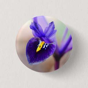 Iris Reticulata Flower Badge