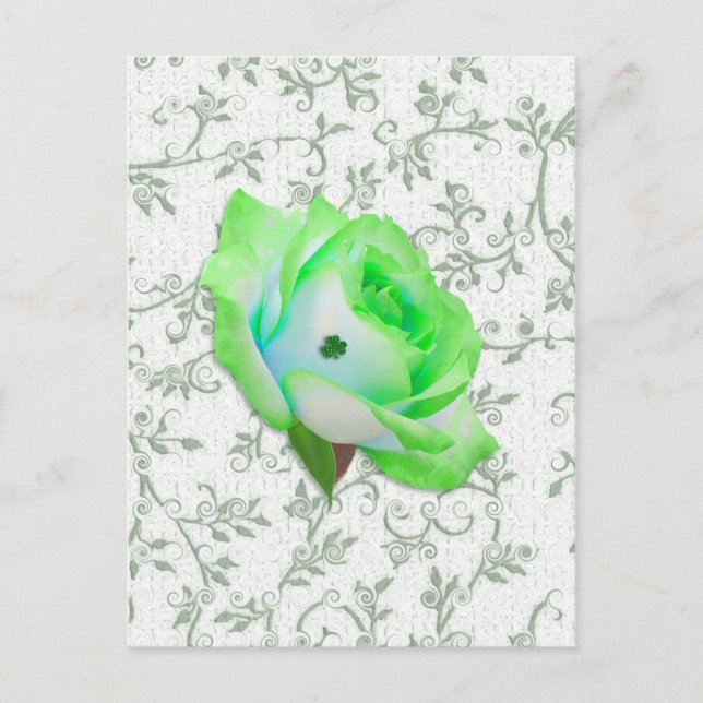 Iris Rose and Shamrock! Postcard (Front)