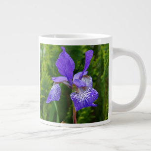 Iris sibirica floral photography large coffee mug