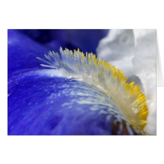 Iris Singing The Blues Card