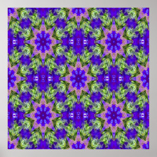 Iris Stars...... Poster