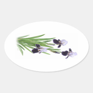 Iris Trio Oval Sticker