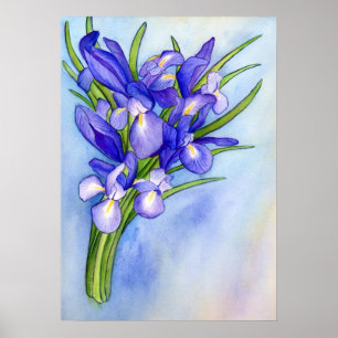 Iris Vase Watercolor Painting Art Poster Print
