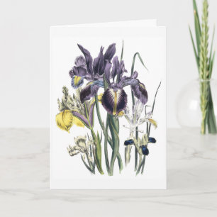 Iris Watercolor Sympathy Card Updated