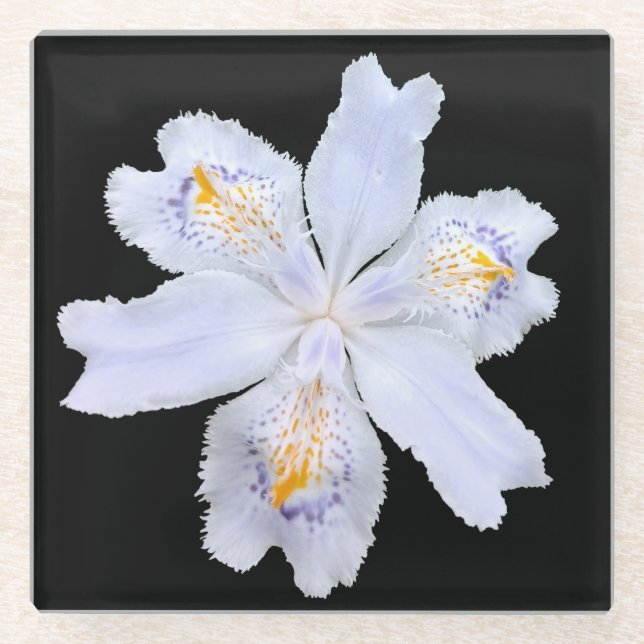 Iris White Glass Coaster (Front)