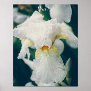 Iris with water droplets customisable poster
