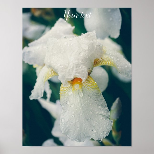 Iris with water droplets customisable poster (Front)