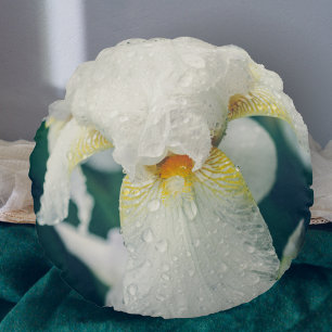 Iris with water droplets round cushion