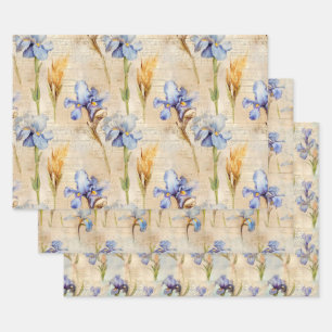 Iris wrapping paper